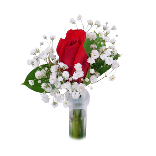 BOUTONNIERE - RED
